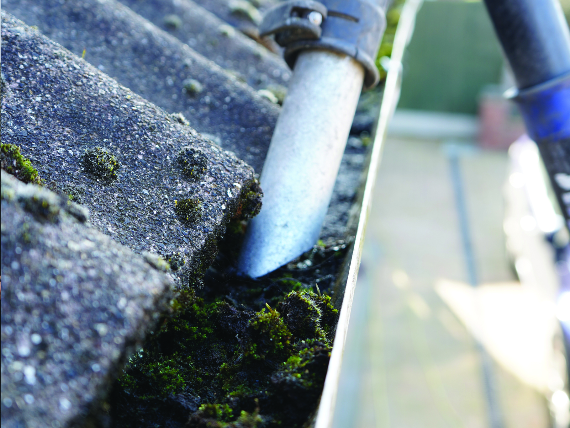 gutter clearing essex